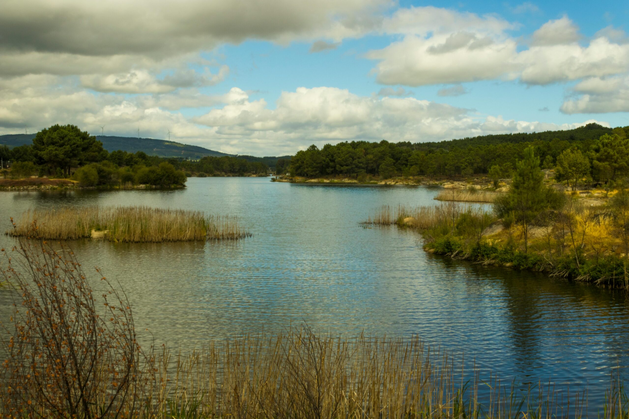 Best Real Estate Brokers and Agencies in Arraiolos, Portugal