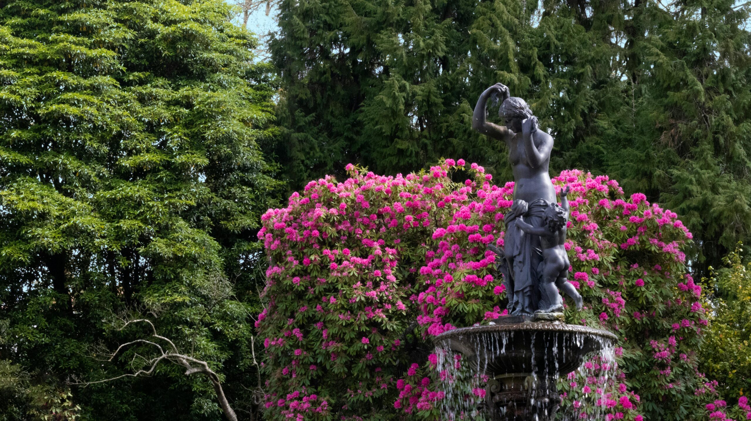 Best Real Estate Brokers and Agencies in Pego, Portugal